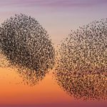 Achillesferse des Finanzsystems